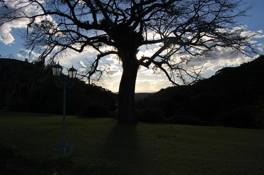 Fazenda Cachoeira Grande *