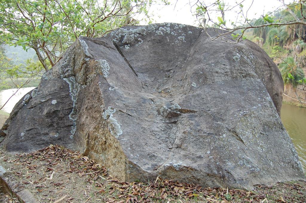 Fazenda Cachoeira Grande Alojamento de Turismo Rural *