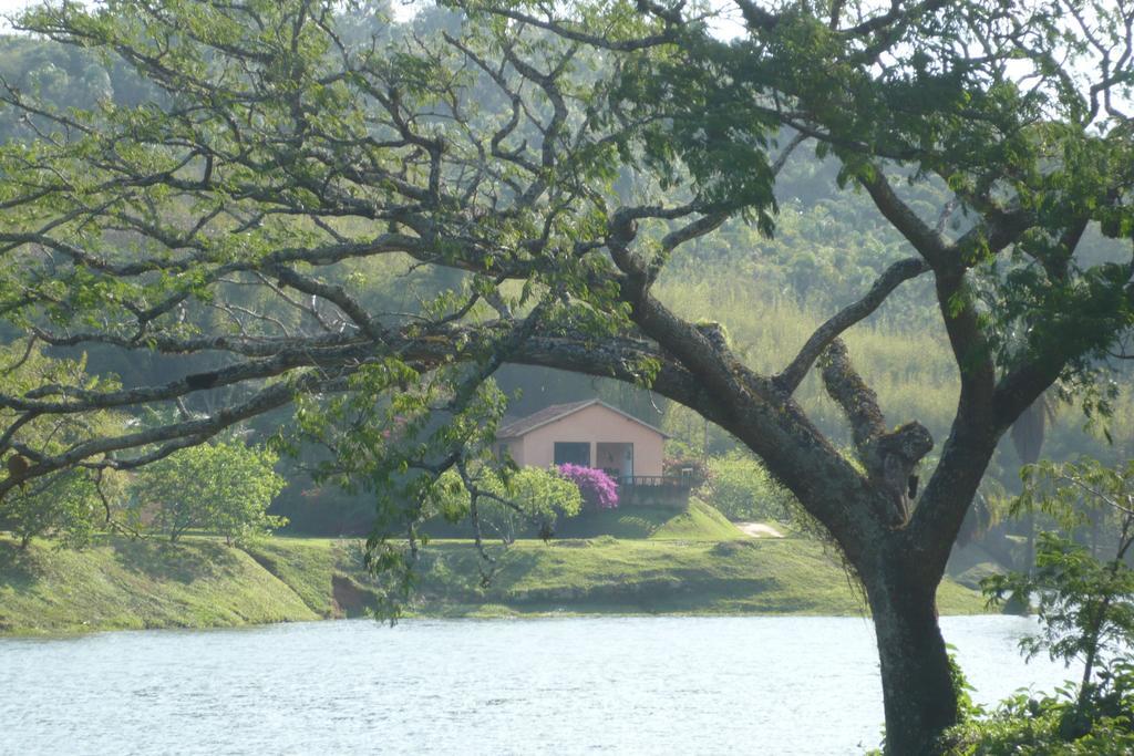 Fazenda Cachoeira Grande *