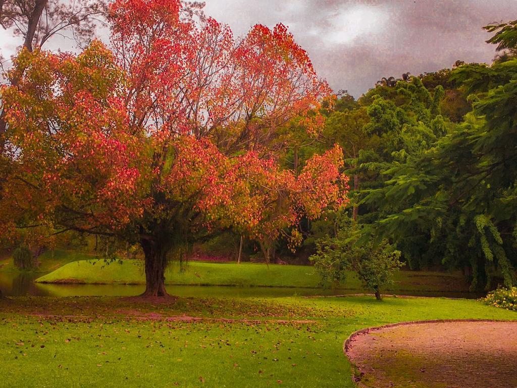 Fazenda Cachoeira Grande Vassouras