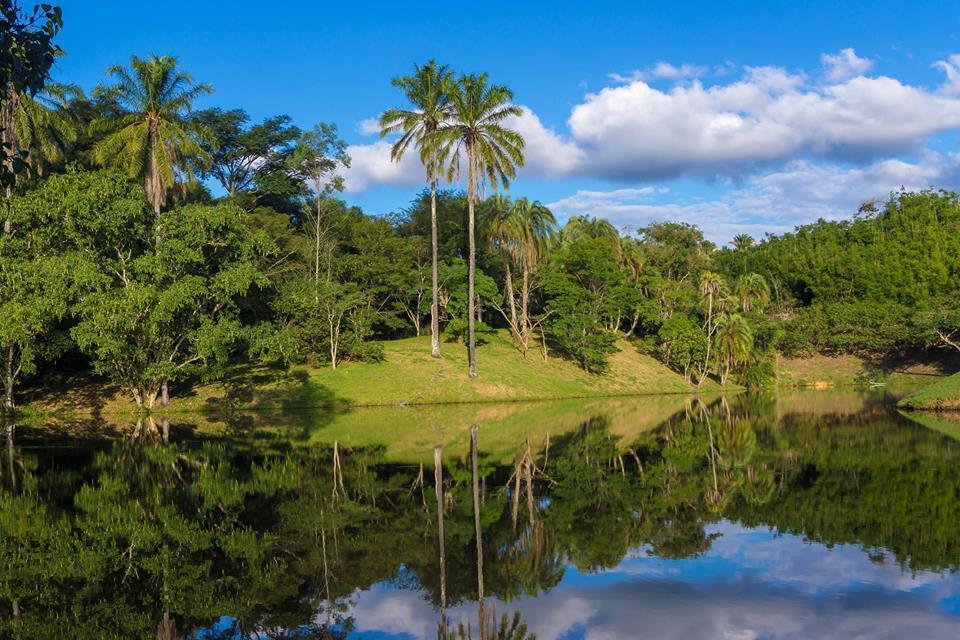 Fazenda Cachoeira Grande