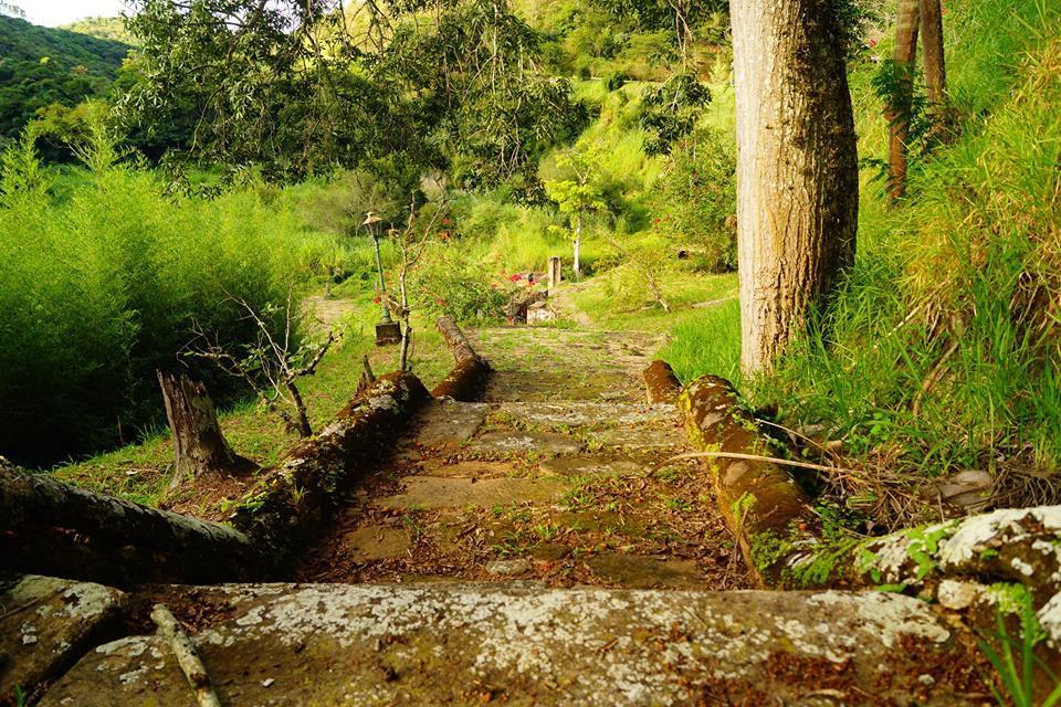 Alojamento de Turismo Rural Fazenda Cachoeira Grande Vassouras